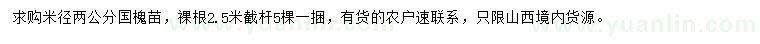 求購(gòu)米徑2公分國(guó)槐苗
