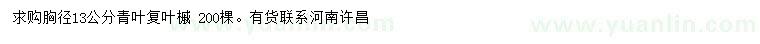 求購(gòu)胸徑13公分青葉復(fù)葉槭
