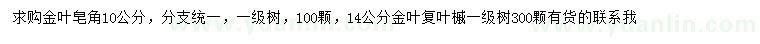 求購10公分金葉皂角、14公分金葉復葉槭