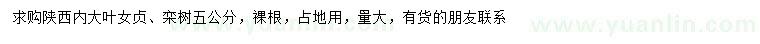 求購5公分大葉女貞、欒樹