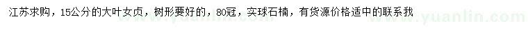 求購15公分大葉女貞