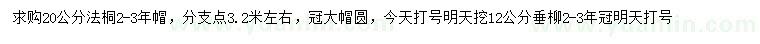 求購(gòu)20公分法桐、12公分垂柳