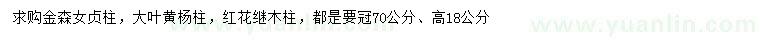 求購(gòu)金森女貞柱、大葉黃楊柱、紅花繼木柱