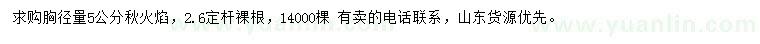 求購胸徑5公分秋火焰