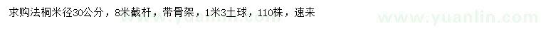 求購米徑30公分法桐