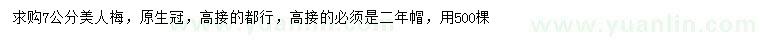 求購7公分美人梅