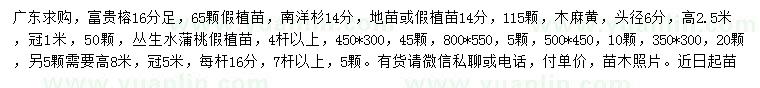 求購(gòu)富貴榕、南洋杉、木麻黃等