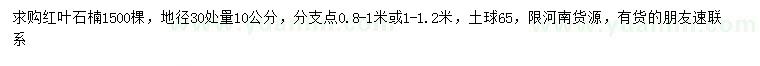 求購地徑30公分量10公分紅葉石楠