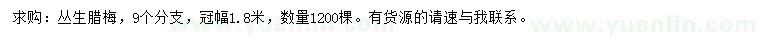 求購(gòu)冠幅1.8米叢生臘梅