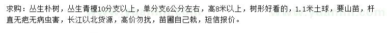 求購(gòu)高8米以上叢生樸樹(shù)、叢生青檀