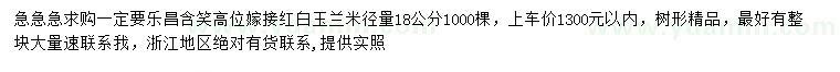 求購米徑足18公分樂昌含笑嫁接紅白玉蘭