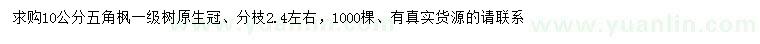 求購10公分五角楓