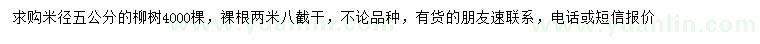 求購米徑5公分柳樹