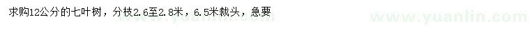 求購12公分七葉樹