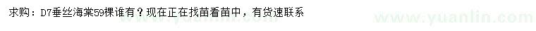 求購地徑7公分垂絲海棠