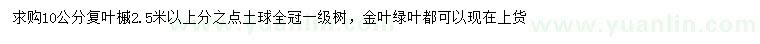 求購10公分復(fù)葉槭