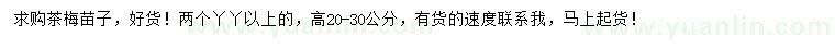 求購(gòu)高20-30公分茶梅