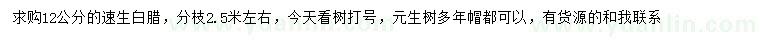 求購12公分速生白臘