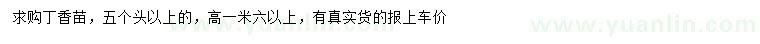 求購(gòu)高1.6米以上丁香