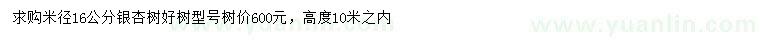 求購米徑16公分銀杏