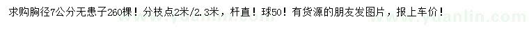 求購胸徑7公分無患子