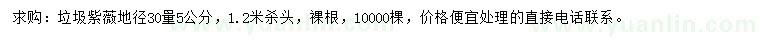 求購(gòu)30量5公分紫微
