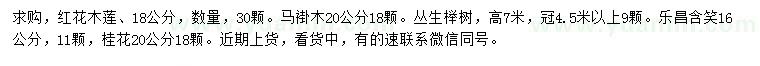 求購紅花木蓮、馬褂木、叢生櫸樹等