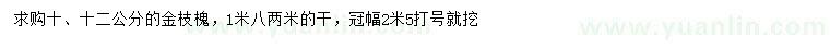 求購10、12公分金枝槐