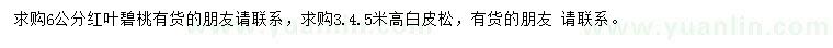 求購6公分紅葉碧桃