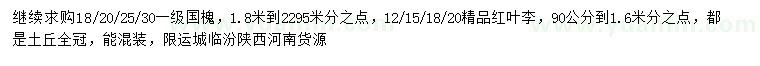 求購(gòu)18、20、25、30公分國(guó)槐、12、15、18、20公分精品紅葉李