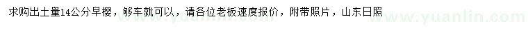求購出土量14公分早櫻
