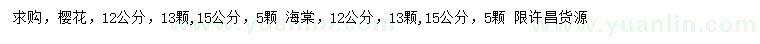 求購12、15公分櫻花、海棠