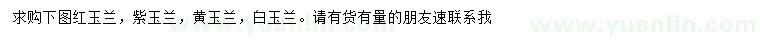 求購紅玉蘭、紫玉蘭、黃玉蘭等