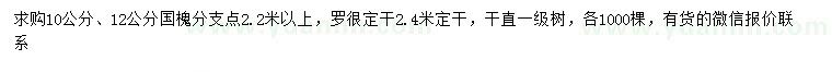求購10、12公分國槐