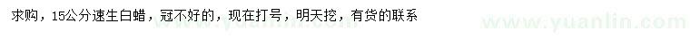 求購15公分速生白蠟