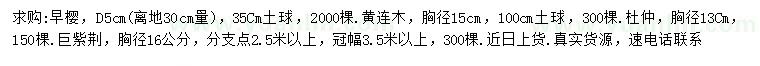 求購(gòu)早櫻、黃連木、杜仲等