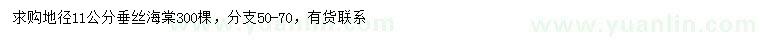 求購(gòu)11公分垂絲海棠