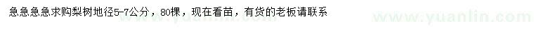 求購地徑5-7公分梨樹