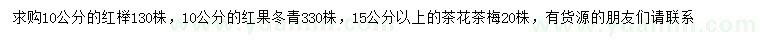 求購紅櫸、紅果冬青、茶梅