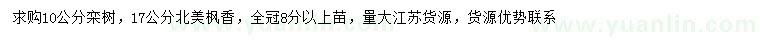 求購10公分欒樹、17公分北美楓香