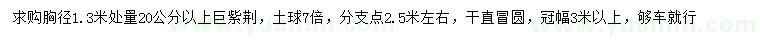 求購胸徑1.3米量20公分以上巨紫荊