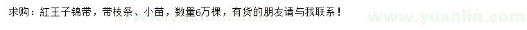 求購(gòu)紅王子錦帶小苗