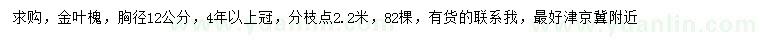 求購胸徑12公分金葉槐