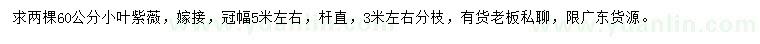 求購60公分小葉紫薇