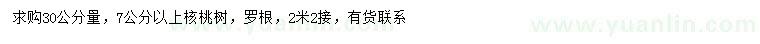 求購30公分量7公分以上核桃樹