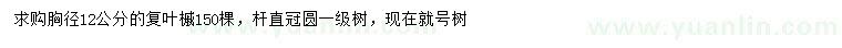 求購胸徑12公分復(fù)葉槭