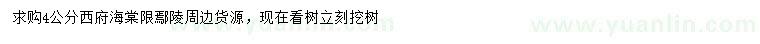 求購(gòu)4公分西府海棠