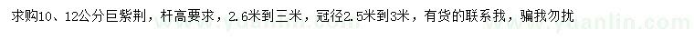 求購10、12公分巨紫荊