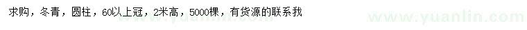 求購(gòu)冠幅60公分以上冬青