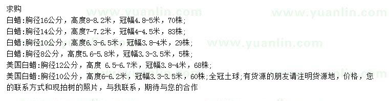 求購胸徑8、10、14、16公分白蠟、10、12公分美國白蠟